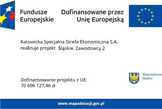 zawodowcy