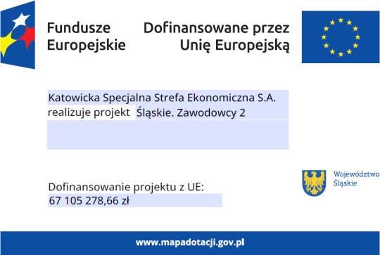 Śląskie Zawodowcy 2